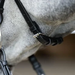 Muserolles*Jump'In - Muserolle croisée Evolution Noir