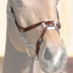 Discount - Muserolle croisée Evolution noisette Muserolles