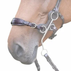 Clearance - Nez de hackamore plombé en cuir havane Accessoires De Mors
