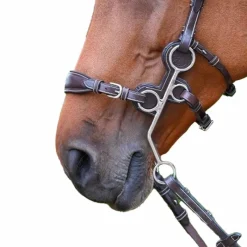 Outlet - Protection pour hackamore en cuir havane Accessoires De Mors