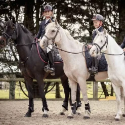 Best - Protège-boulets para intérieur mouton noir/ noir Cso|Protège-Boulets