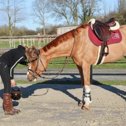 Tapis Cso/ Mixtes|Tapis De Selle*Jump'In - Tapis de selle Show One / marine Bordeaux