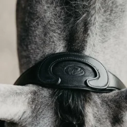 Têtières*Jump'In - Têtière + rênes Evolution Noir