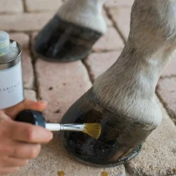 Outlet - Huile de soin pour sabots Huiles Pour Sabots