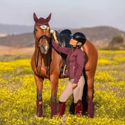 Casques D'Équitation À Visière Polo|Casques D'Équitation*Kask - Casque d'équitation Kooki Lady shine Noir