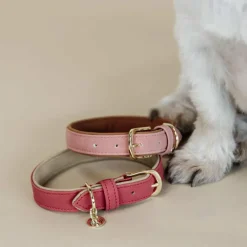 - Collier pour chien vegan leather red/beige Colliers