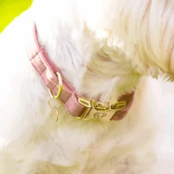 Colliers*Kentucky Dogwear - Colliers pour chiens Velvet Rose