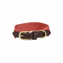 Outlet - Collier pour chien Jacquard terre cuite Colliers