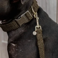 - Collier pour chien Teddy Fleece sapin Colliers