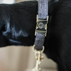 Colliers*Kentucky Dogwear - Collier pour chiens Wool Gris