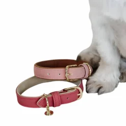 Colliers*Kentucky Dogwear - Collier pour chien vegan leather peach/brown Rose