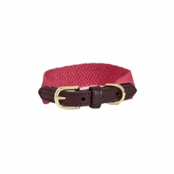 Colliers*Kentucky Dogwear - Collier pour chien Jacquard Rose