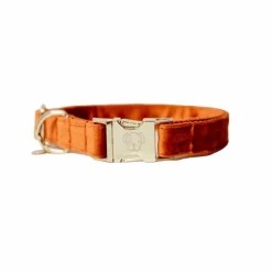 Colliers*Kentucky Dogwear - Colliers pour chiens Velvet Orange
