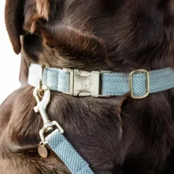 Best - Colliers pour chiens Velvet ciel Colliers