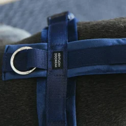 Harnais*Kentucky Dogwear - Harnais pour chien actif velvet marine