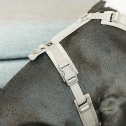 Harnais*Kentucky Dogwear - Harnais pour chien actif velvet beige