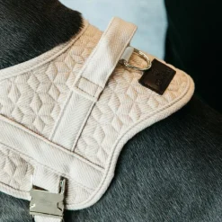 Harnais*Kentucky Dogwear - Harnais pour chiens Body safe Wool beige