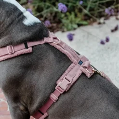 Outlet - Harnais pour chien Teddy Fleece vieux Harnais