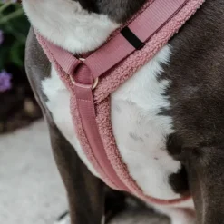 Outlet - Harnais pour chien Teddy Fleece vieux Harnais