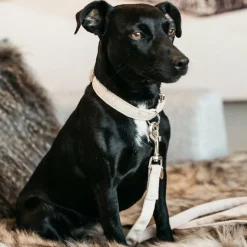 Clearance - Laisse en laine 120 cm Laisses