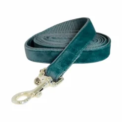 Laisses*Kentucky Dogwear - Laisse pour chiens Velvet 120 cm émeraude Bleu