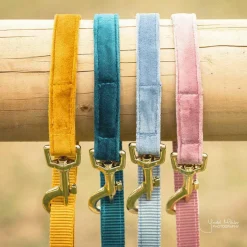 Laisses*Kentucky Dogwear - Laisse pour chiens Velvet 120 cm émeraude Bleu
