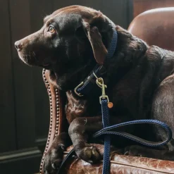 Sale - Laisse en nylon tressé Plaited Nylon 200 cm Laisses