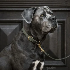 Discount - Laisse en nylon tressé Plaited Nylon 200 cm olive Laisses