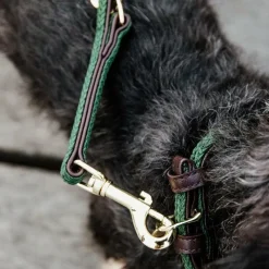 Discount - Laisse en nylon tressé Plaited Nylon 200 cm olive Laisses