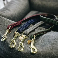 Discount - Laisse en nylon tressé Plaited Nylon 200 cm olive Laisses