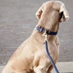 Laisses*Kentucky Dogwear - Laisse pour chien nylon tressé Plaited Nylon 120 cm Marine