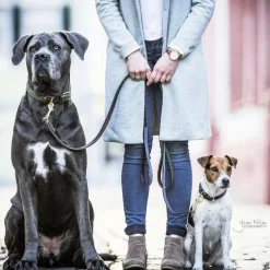 Laisses*Kentucky Dogwear - Laisse pour chien nylon tressé Plaited Nylon 120 cm olive Vert