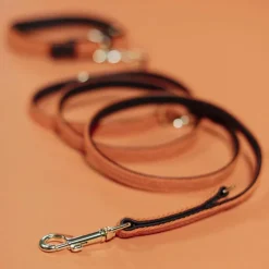 Laisses*Kentucky Dogwear - Laisse de nylon tressé Plaited Nylon 200 cm Orange