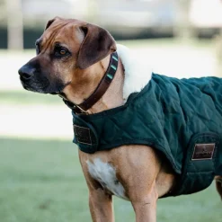 Manteaux*Kentucky Dogwear - Manteau pour chiens 160g foncé Vert
