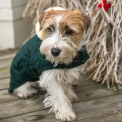 Manteaux*Kentucky Dogwear - Manteau pour chiens 160g foncé Vert