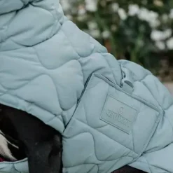 Hot - Manteau pour chien Pina ciel 160g Manteaux