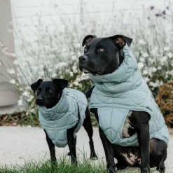 Hot - Manteau pour chien Pina ciel 160g Manteaux