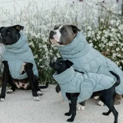 Hot - Manteau pour chien Pina ciel 160g Manteaux