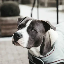 Manteaux*Kentucky Dogwear - Manteau Imperméable réfléchissant Dusty Blue 160g Argent