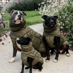 Manteaux*Kentucky Dogwear - Manteau pour chien Pina kaki 160g Vert