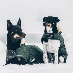 Manteaux*Kentucky Dogwear - Manteau pour chiens Waterproof 300g Vert