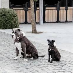 Manteaux*Kentucky Dogwear - Manteau pour chiens 160g Marron