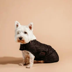 Manteaux*Kentucky Dogwear - Manteau pour chiens 160g Marron