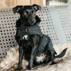 Hot - Manteau pour chiens 160g Manteaux