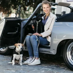 Hot - Manteau pour chiens 160g Manteaux