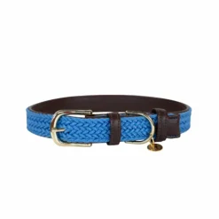 Hot - Nylon tressé collier de chien clair Colliers