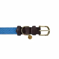 Hot - Nylon tressé collier de chien clair Colliers