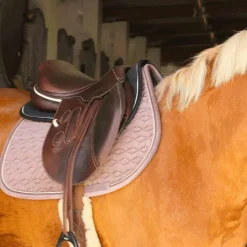 Outlet - Amortisseur pour chevaux Absorb / Amortisseurs