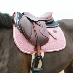 Amortisseurs*Kentucky Horsewear - Amortisseur pour chevaux Anatomique Absorb / Noir