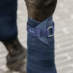 - Bandes de travail élastiques (x2) Bandes De Travail